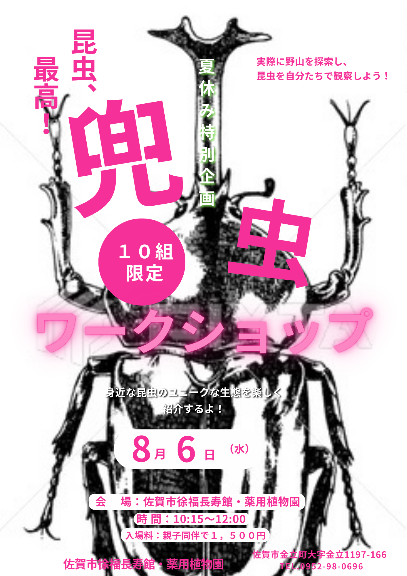 昆虫最高！　兜虫（カブトムシ）ワークショップの画像