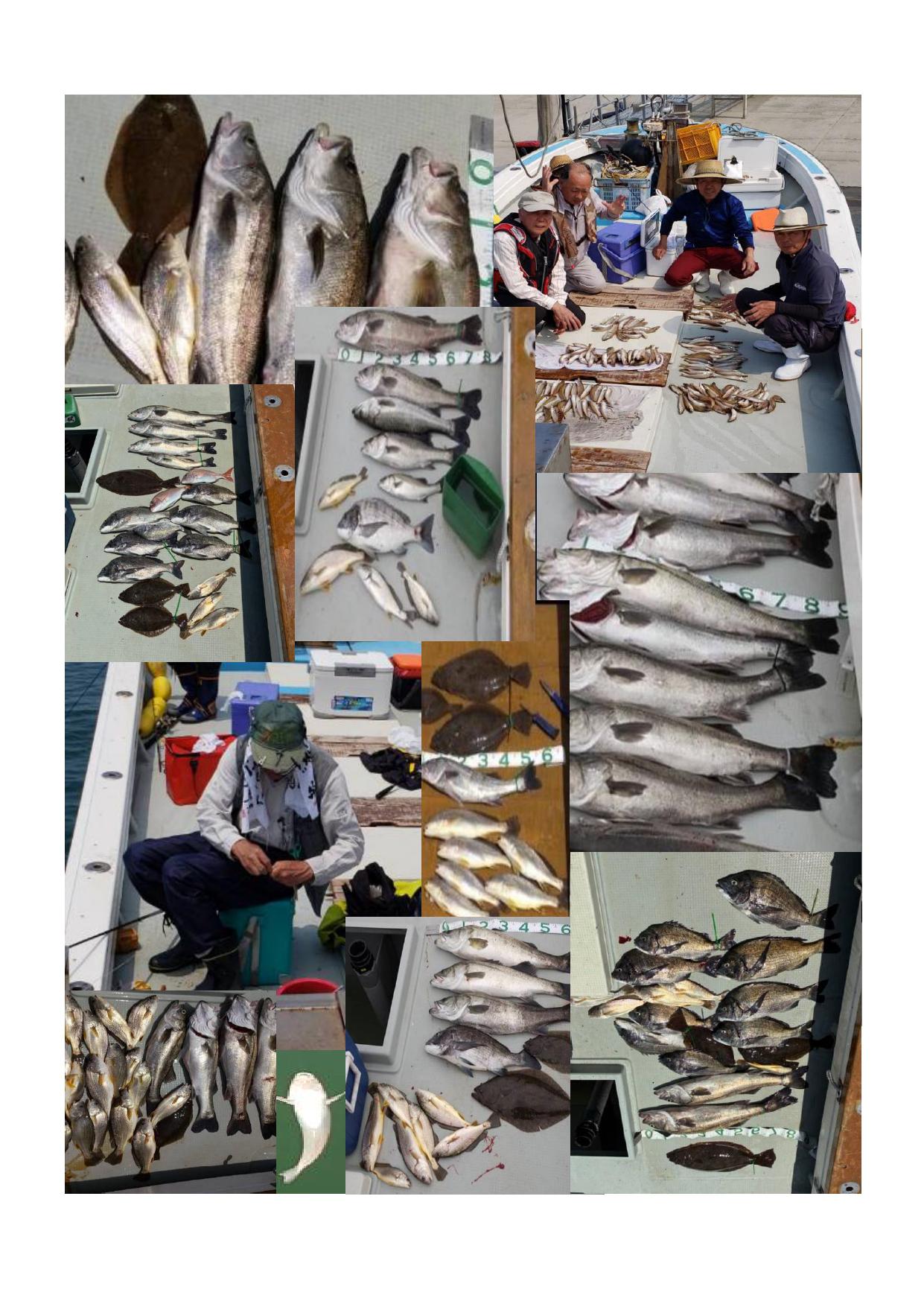 有明海の釣り船運航の画像