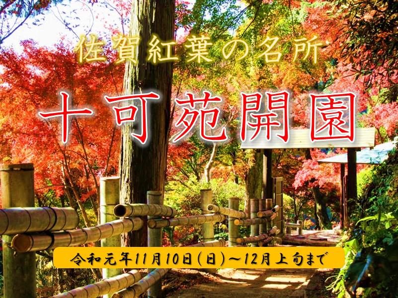 十可苑開園（紅葉） の画像