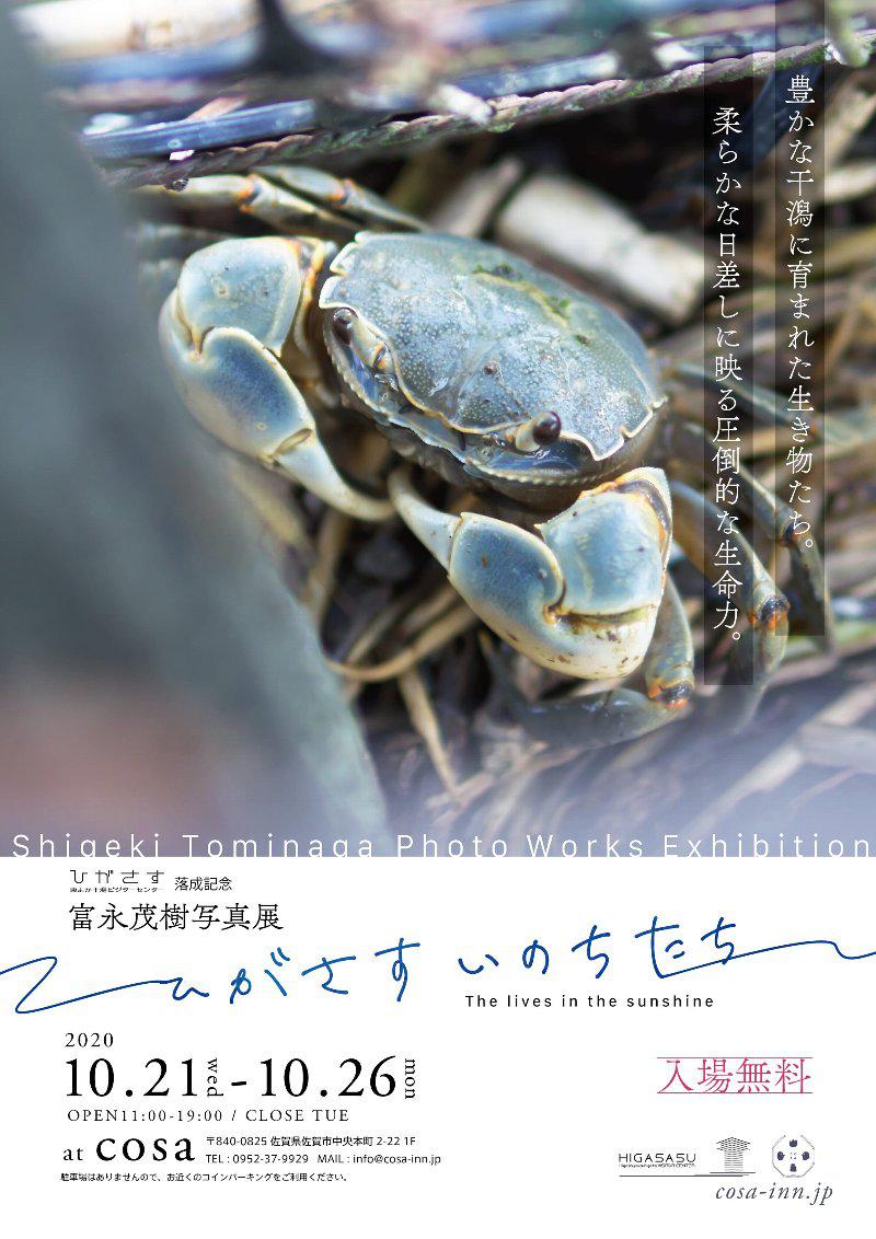 東よか干潟ビジターセンターひがさす落成記念　富永茂樹写真展ひがさすいのちたちの画像