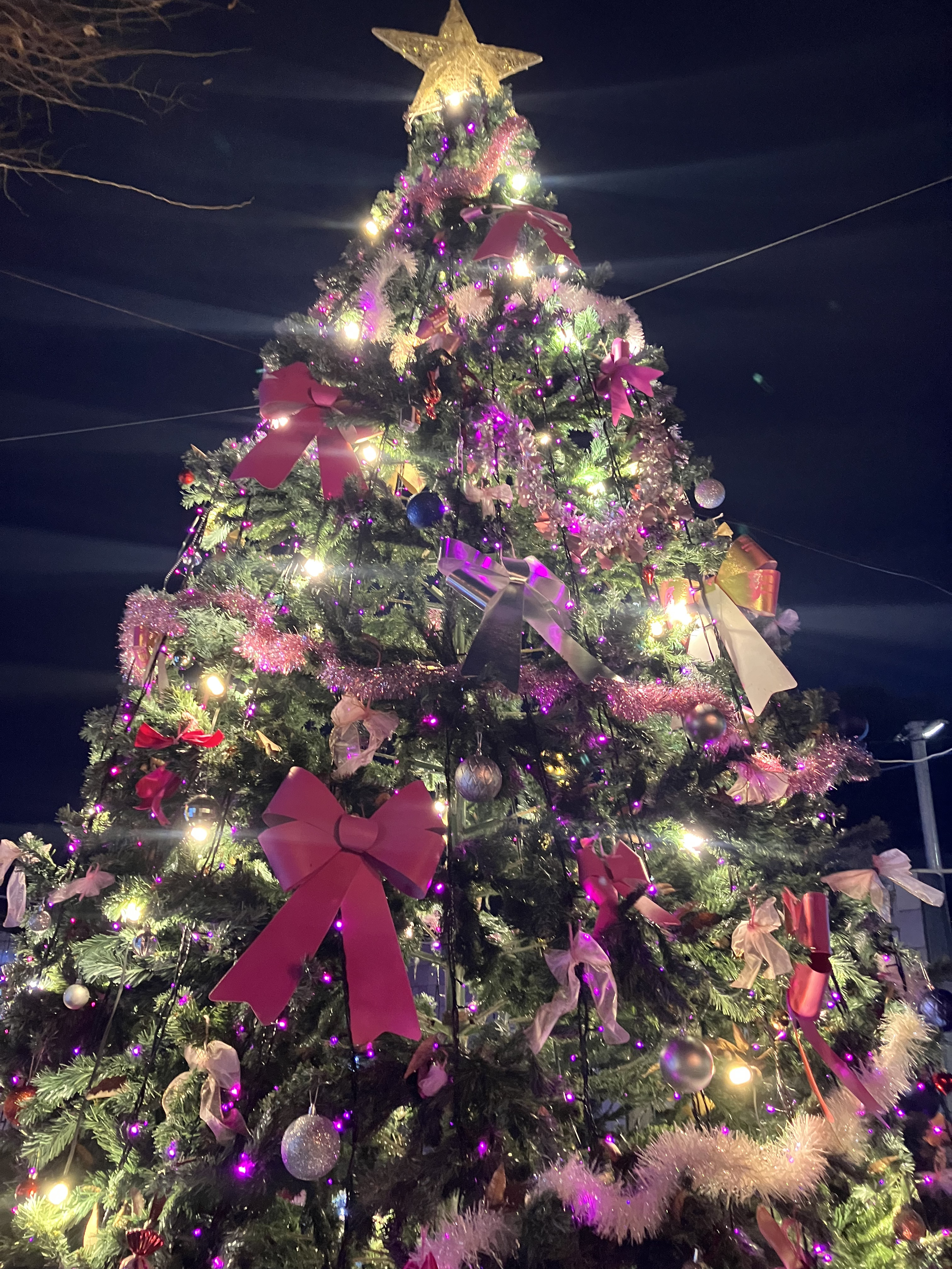 クリスマスツリーの前でピンクの花自動的に生成された説明