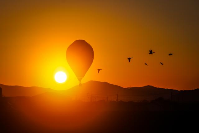 2024・2025年バルーンフェスタフォトコンテスト入賞作品012