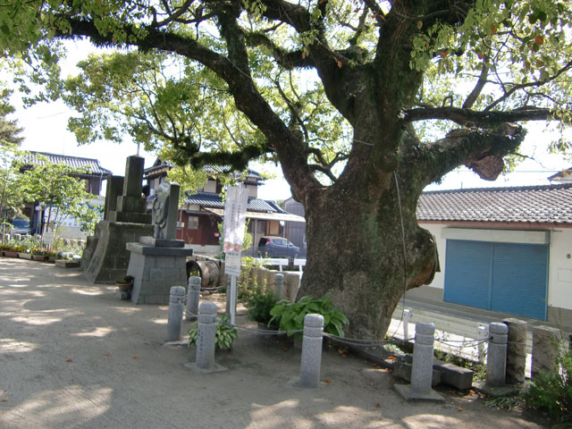 海童神社014