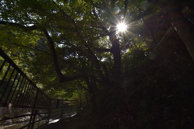 雄淵・雌淵公園016