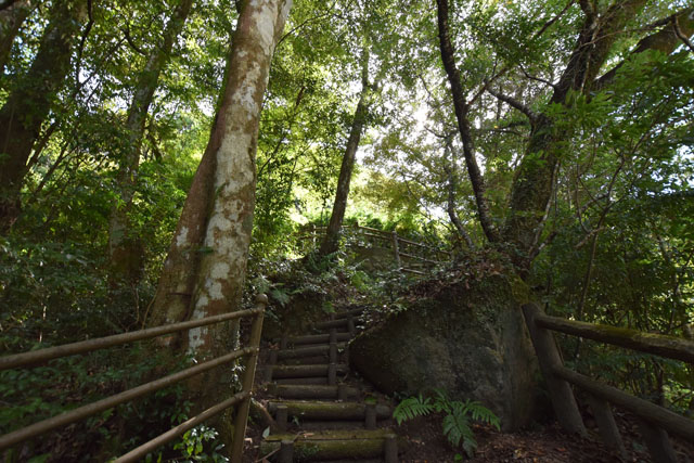 雄淵・雌淵公園035