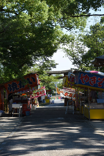 川上峡花火大会005