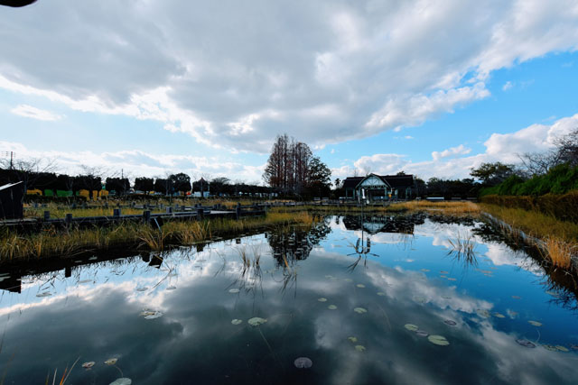 神野公園052