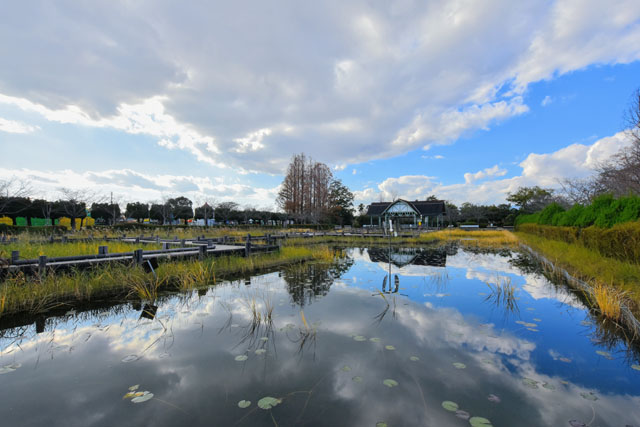 神野公園053
