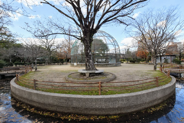 神野公園056