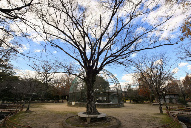 神野公園058
