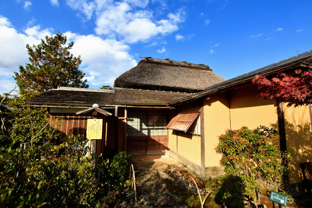 神野公園074
