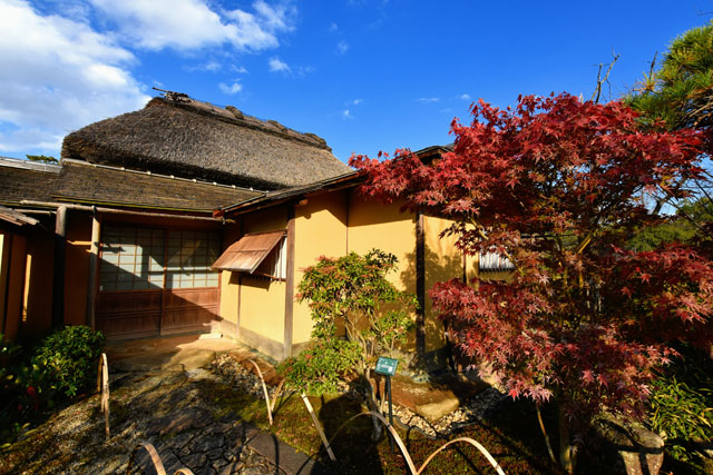 神野公園075