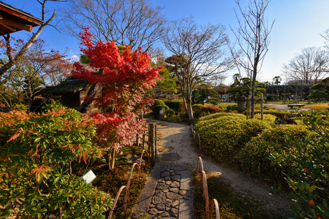 神野公園089