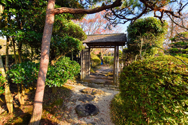 神野公園091