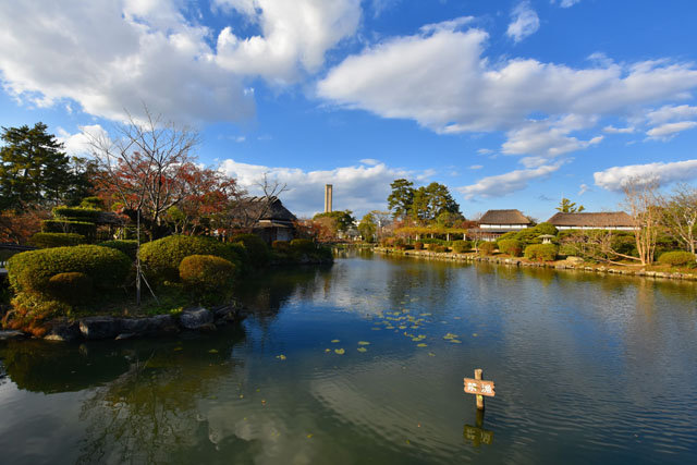 神野公園094