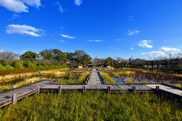 神野公園098