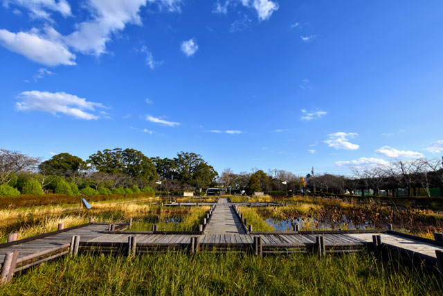 神野公園099