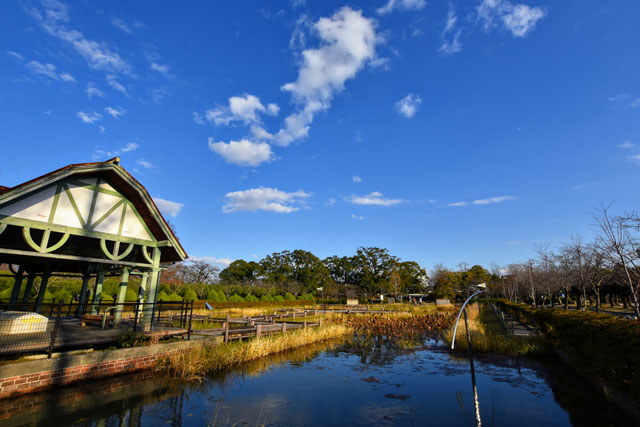 神野公園100