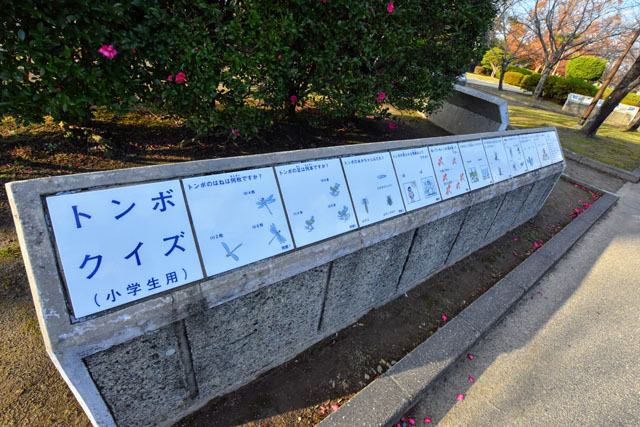 神野公園101