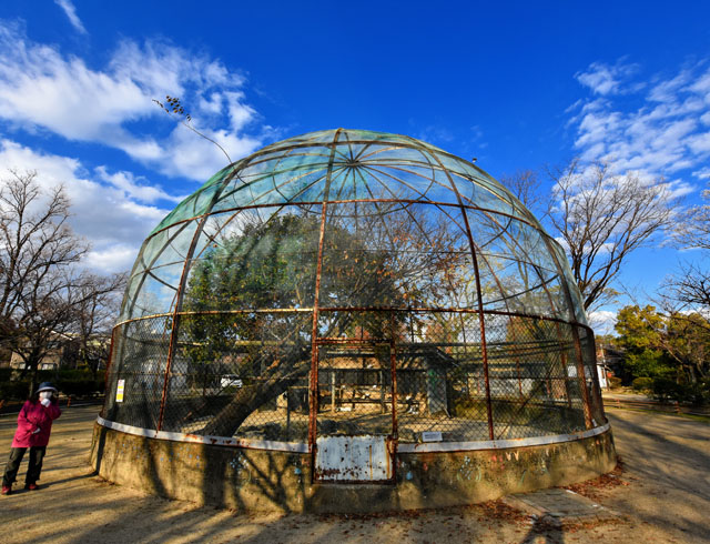 神野公園104