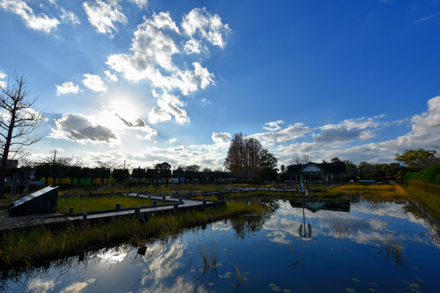 神野公園105