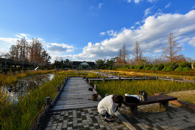 神野公園106