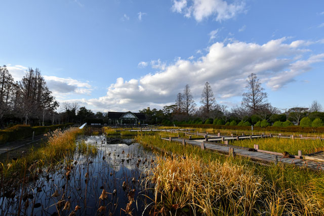 神野公園107