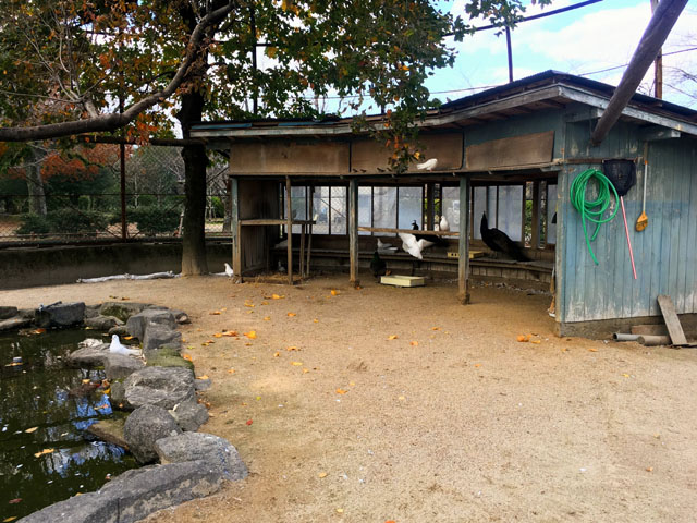 神野公園110