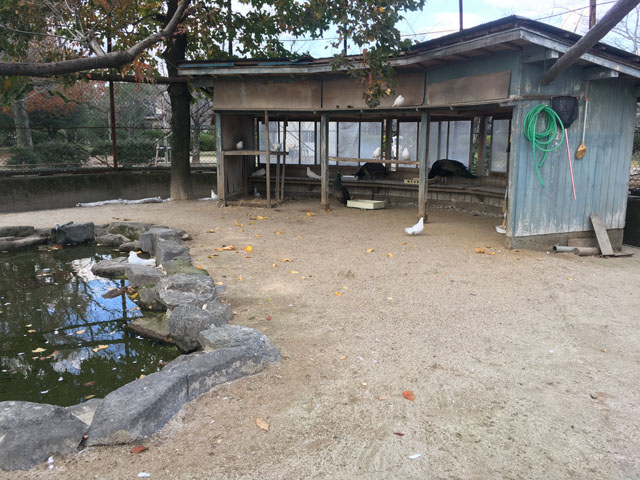 神野公園111