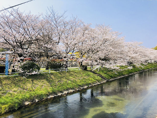 多布施川001