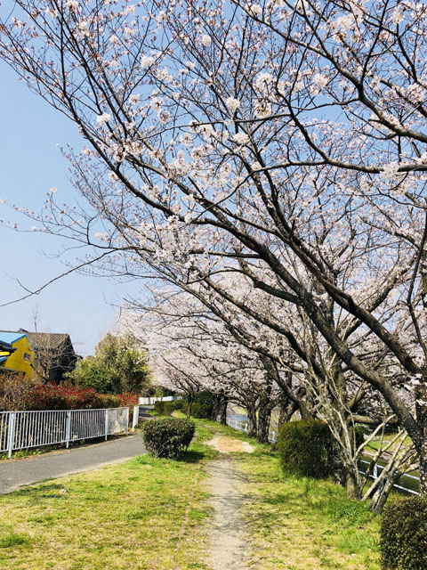 多布施川003