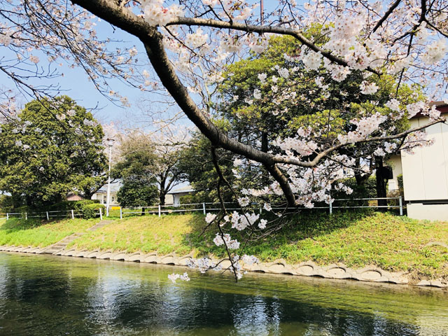 多布施川007