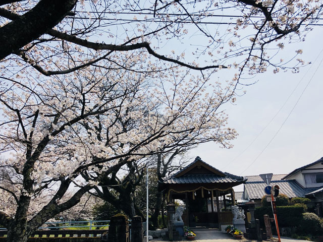 多布施川009