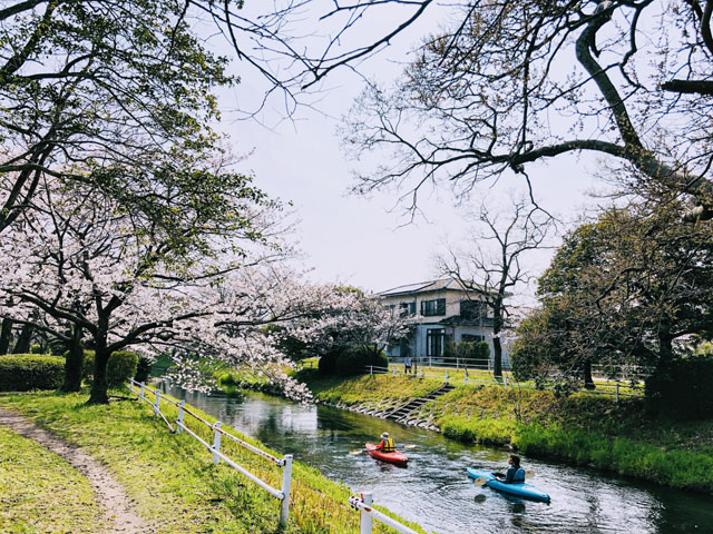 多布施川010