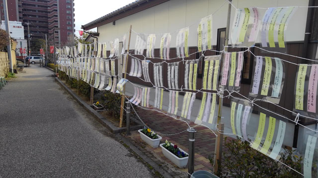 佐賀城下ひなまつり143