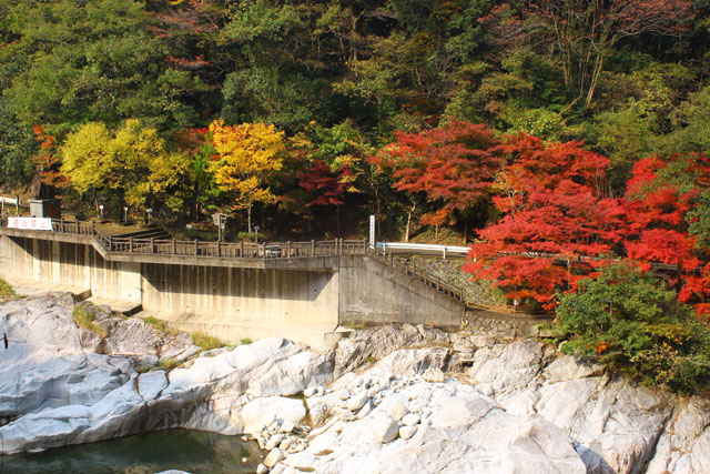 雄淵・雌淵公園039