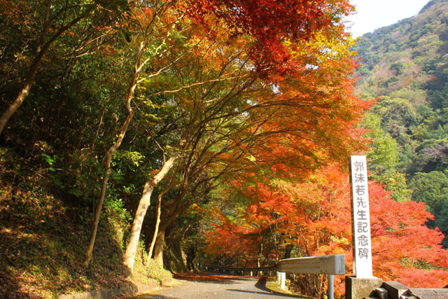 雄淵・雌淵公園040