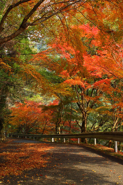 雄淵・雌淵公園041