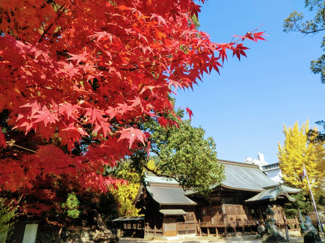 與止日女神社008