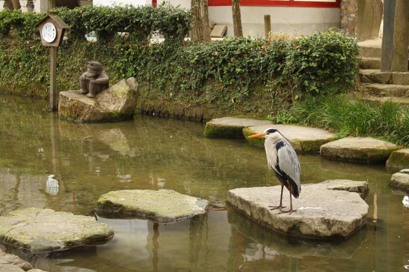 松原川（松原川親水公園）