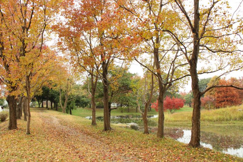 多布施川河畔公園