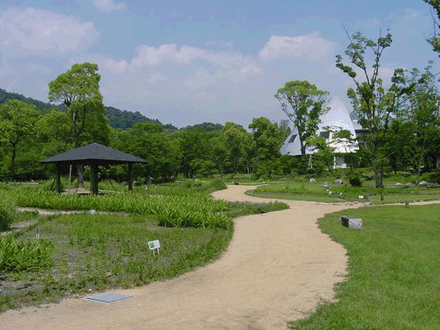 金立公園薬用植物園