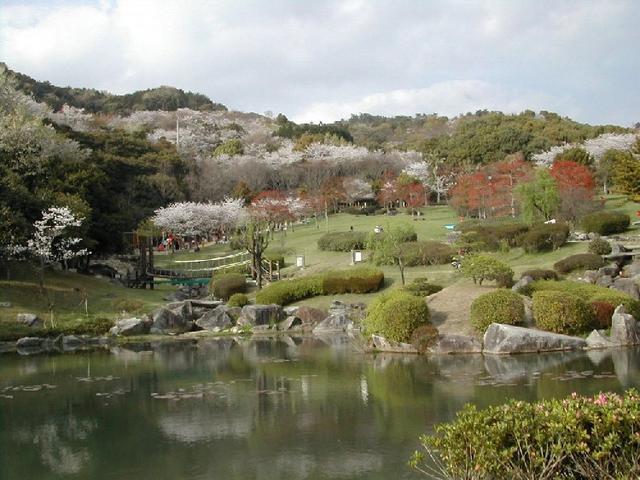 金立山いこいの広場