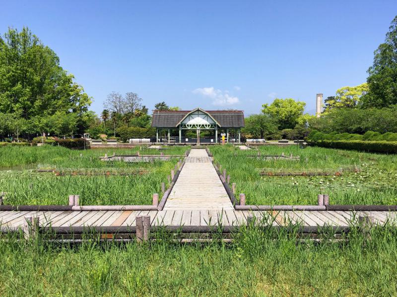 神野公園